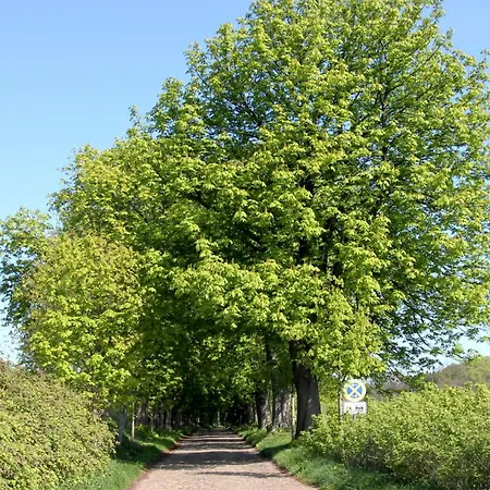 דירה Hafenhaeuser Wiek 11