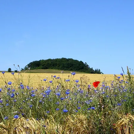 Hafenhaeuser Wiek 11 דירה Wiek auf Rügen